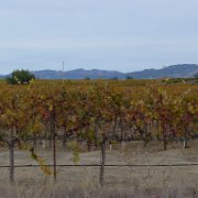 Napa 015 : Napa